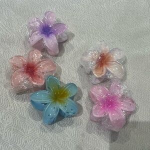 Assorted flower hair clips